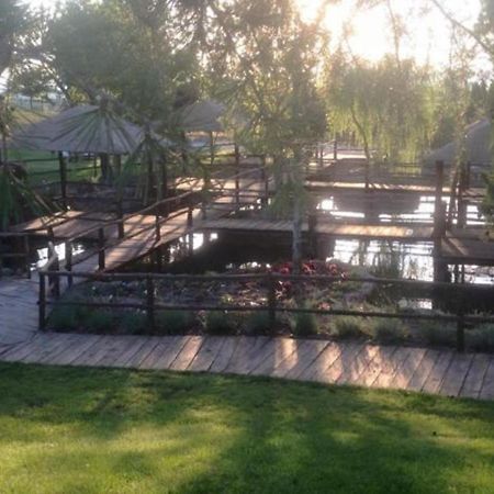 Agriturismo La Collina ปีติญาโน ภายนอก รูปภาพ