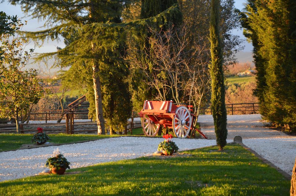 Agriturismo La Collina ปีติญาโน ห้อง รูปภาพ