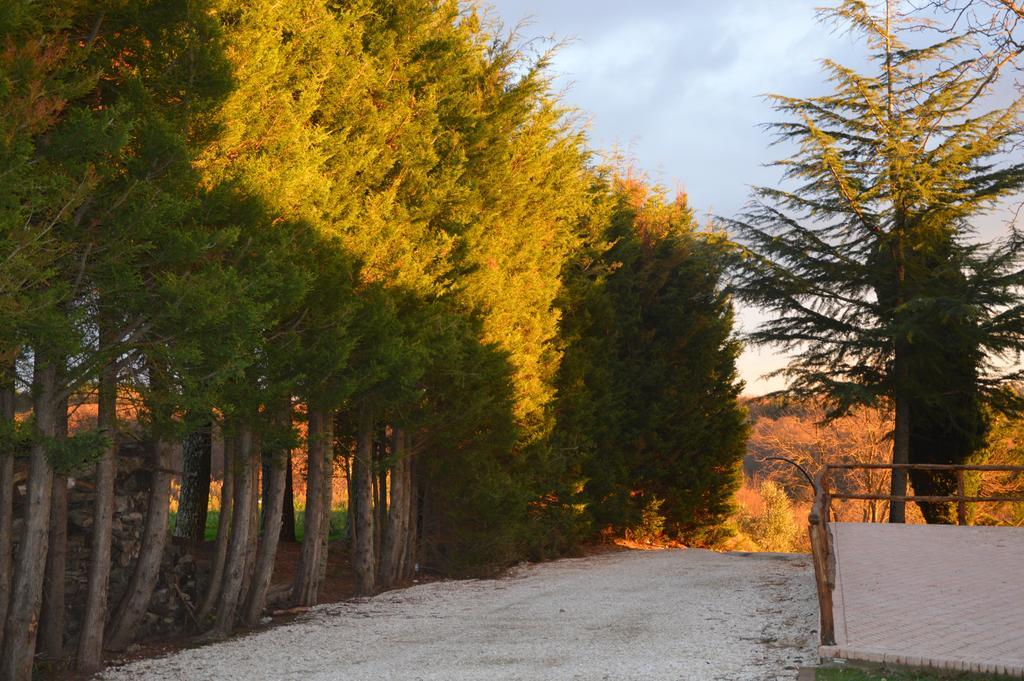 Agriturismo La Collina ปีติญาโน ภายนอก รูปภาพ