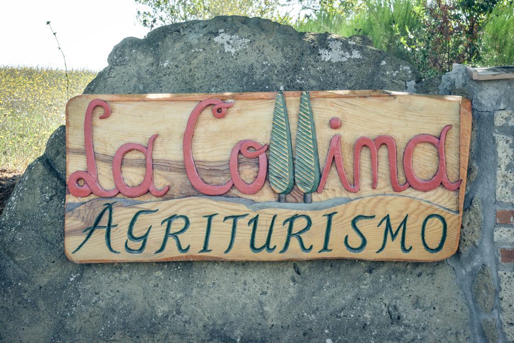 Agriturismo La Collina ปีติญาโน ภายนอก รูปภาพ