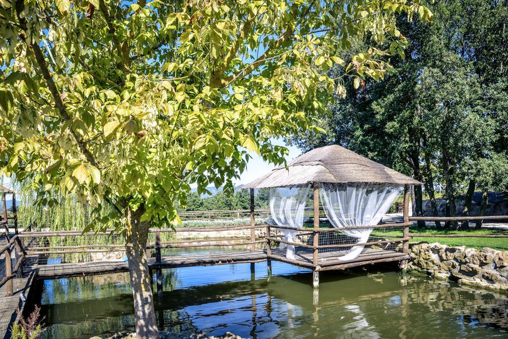 Agriturismo La Collina ปีติญาโน ภายนอก รูปภาพ